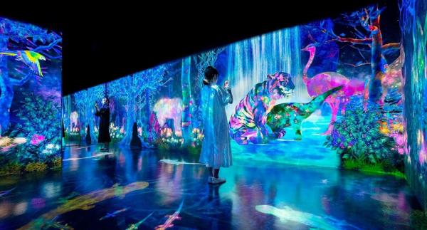 Immersive LED Display for Theme Parks