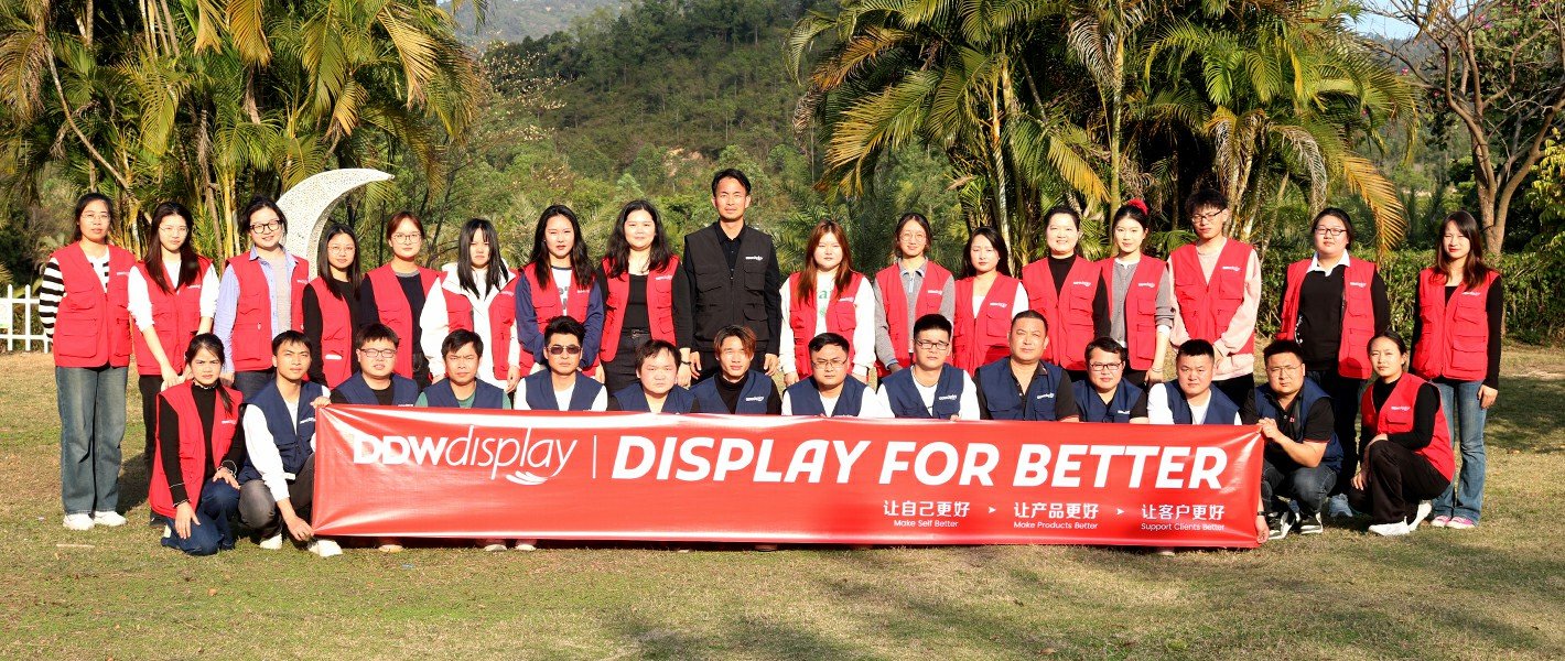ddw led display