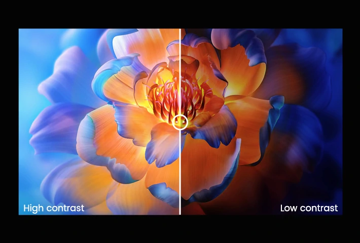 ddwdisplay-20260616_103038